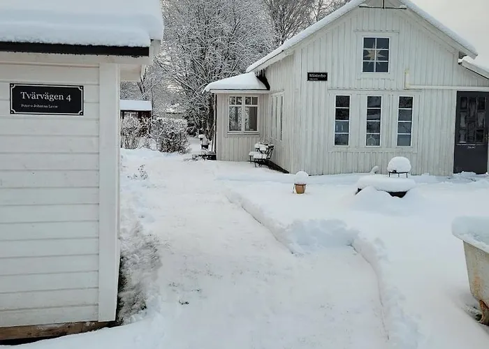 Loftstuga I Saefsen